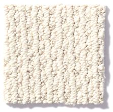 Anderson Tuftex Nfa/Apg Crescent Ridge Mohair 540AG_00110