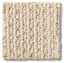 Anderson Tuftex Nfa/Apg Crescent Ridge Chic Cream 540AG_00112
