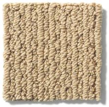 Anderson Tuftex Nfa/Apg Crescent Ridge Chamois 540AG_00221