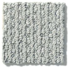 Anderson Tuftex Nfa/Apg Crescent Ridge Cool Ash 540AG_00511