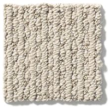 Anderson Tuftex Nfa/Apg Crescent Ridge Cement 540AG_00512