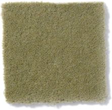 Philadelphia Commercial Emphatic II 36 Tea Green 54256_56321