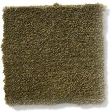Philadelphia Commercial Emphatic II 36 Venetian Green 54256_56324