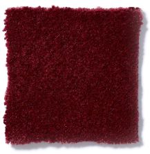 Philadelphia Commercial Emphatic II 36 Vivid Burgundy 54256_56845