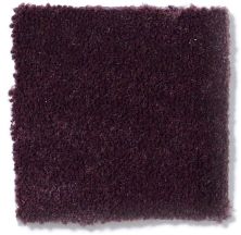 Philadelphia Commercial Emphatic II 36 Perfect Plum 54256_56995