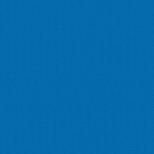 Philadelphia Commercial Color Accents LEVEL LOOP Blue 62407_54462