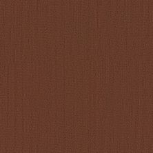 Philadelphia Commercial Color Accents LEVEL LOOP Chocolate 62713_54462