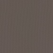 Philadelphia Commercial Color Accents LEVEL LOOP Taupe 62760_54462
