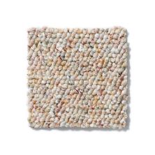 Shop Philadelphia Commercial Parade Of Champions Ii 12 City Lights 00105 54466 Carpet Webb Carpet Company