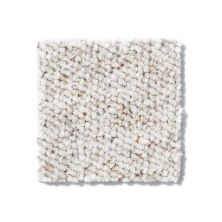 Philadelphia Commercial Parade Of Champions II 15′ Antique Linen 54467_00142