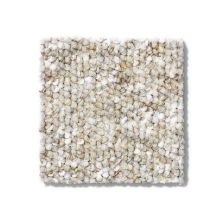 Philadelphia Commercial Parade Of Champions II 15′ Cookie Crumb 54467_00201