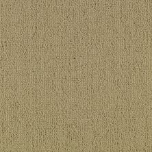 Philadelphia Commercial Color Accents Bl LEVEL LOOP Gilded 62103_54584