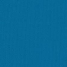 Philadelphia Commercial Color Accents Bl LEVEL LOOP Blue 62407_54584