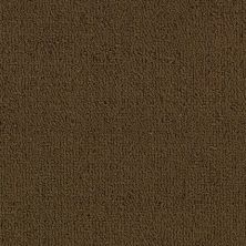 Philadelphia Commercial Color Accents Bl LEVEL LOOP Coffee 62750_54584