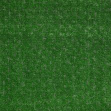 Philadelphia Commercial Tactic (s) Pasture 00300_54622