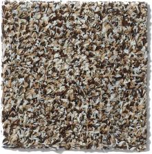 Philadelphia Commercial Arbor View (t) Brown Sugar 54625_00710