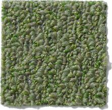Philadelphia Commercial Gardenscape (t) Holly Leaf 54629_00301