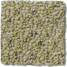 Philadelphia Commercial Gardenscape (t) Wheat Grass 54629_00700