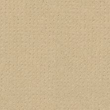 Shaw Floors Shaw Flooring Gallery Grand Image Pattern French Linen 00103_5468G