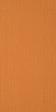 Philadelphia Commercial Color Accents 9×36 Orange 62675_54858