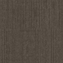Shaw Floors Natural Slate Native Indigenous 00200_54963