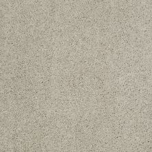Shaw Floors Shaw Flooring Gallery Embark Cold Water 00510_5506G