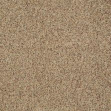 Shaw Floors Shaw Flooring Gallery Great Beginnings (a) Bamboo 00230_5508G