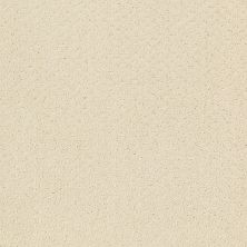 Shaw Floors Shaw Flooring Gallery Departure Canvas 00103_5510G