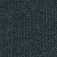 Shaw Floors Shaw Flooring Gallery Departure Indigo 00411_5510G