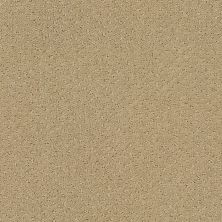 Shaw Floors Shaw Flooring Gallery Departure Mushroom 00703_5510G