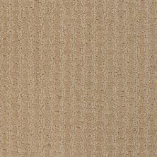 Shaw Floors Shaw Flooring Gallery Fast Lane Fieldstone 00105_5511G