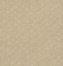 Shaw Floors Shaw Flooring Gallery Go Beyond Frost 00104_5512G