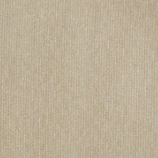 Shaw Floors Shaw Flooring Gallery Speed Tunnel Canvas 00103_5513G