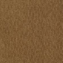Shaw Floors Shaw Flooring Gallery Speed Tunnel Leather Bound 00702_5513G