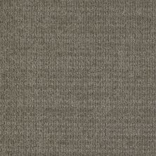 Shaw Floors Shaw Flooring Gallery Unleashed Pewter 00513_5514G