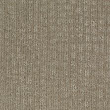 Shaw Floors Shaw Flooring Gallery Set The Stage Gray Flannel 00511_5515G