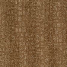 Shaw Floors Shaw Flooring Gallery Set The Stage Leather Bound 00702_5515G