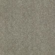 Shaw Floors Shaw Flooring Gallery Canvas Silver Sage 00310_5518G