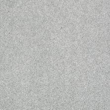 Shaw Floors Shaw Flooring Gallery Canvas Drizzle 00414_5518G