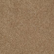 Shaw Floors Shaw Flooring Gallery Canvas Leather Bound 00702_5518G