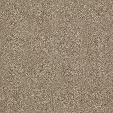 Shaw Floors Shaw Flooring Gallery Canvas Prairie 00710_5518G