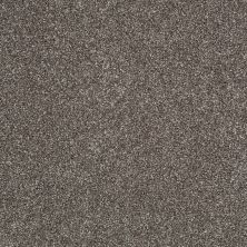 Shaw Floors Shaw Flooring Gallery Canvas Graphite 00712_5518G