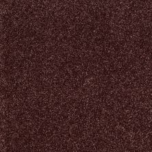 Shaw Floors Shaw Flooring Gallery Canvas Berry 00810_5518G