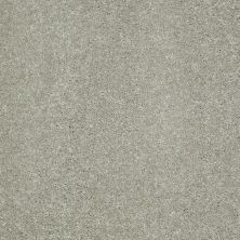 Shaw Floors Shaw Flooring Gallery Challenge Accepted I 12′ Wild Rice 00105_5522G
