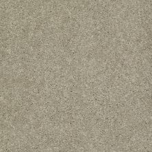Shaw Floors Shaw Flooring Gallery Challenge Accepted I 12′ Honeycomb 00200_5522G
