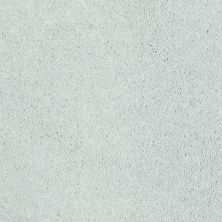 Shaw Floors Shaw Flooring Gallery Challenge Accepted I 12′ Sheer Silver 00500_5522G