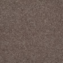 Shaw Floors Shaw Flooring Gallery Challenge Accepted I 12′ Briar Patch 00703_5522G