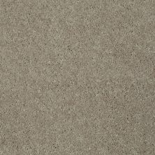Shaw Floors Shaw Flooring Gallery Challenge Accepted II 12 Natural Beige 00700_5523G