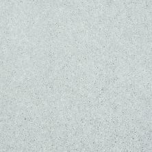 Shaw Floors Shaw Flooring Gallery Challenge Accepted I 15; Sheer Silver 00500_5527G