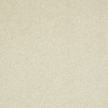 Shaw Floors Shaw Flooring Gallery Challenge Accepted II 15′ Creamy Tint 00101_5528G